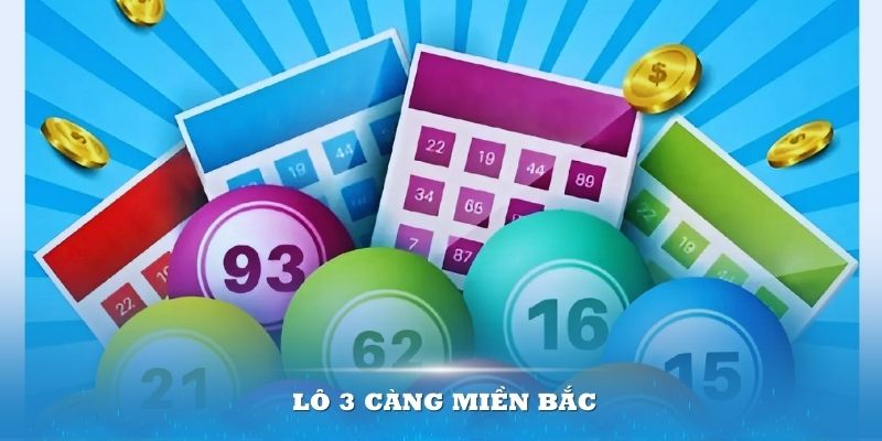 Lô 3 Càng Miền Bắc